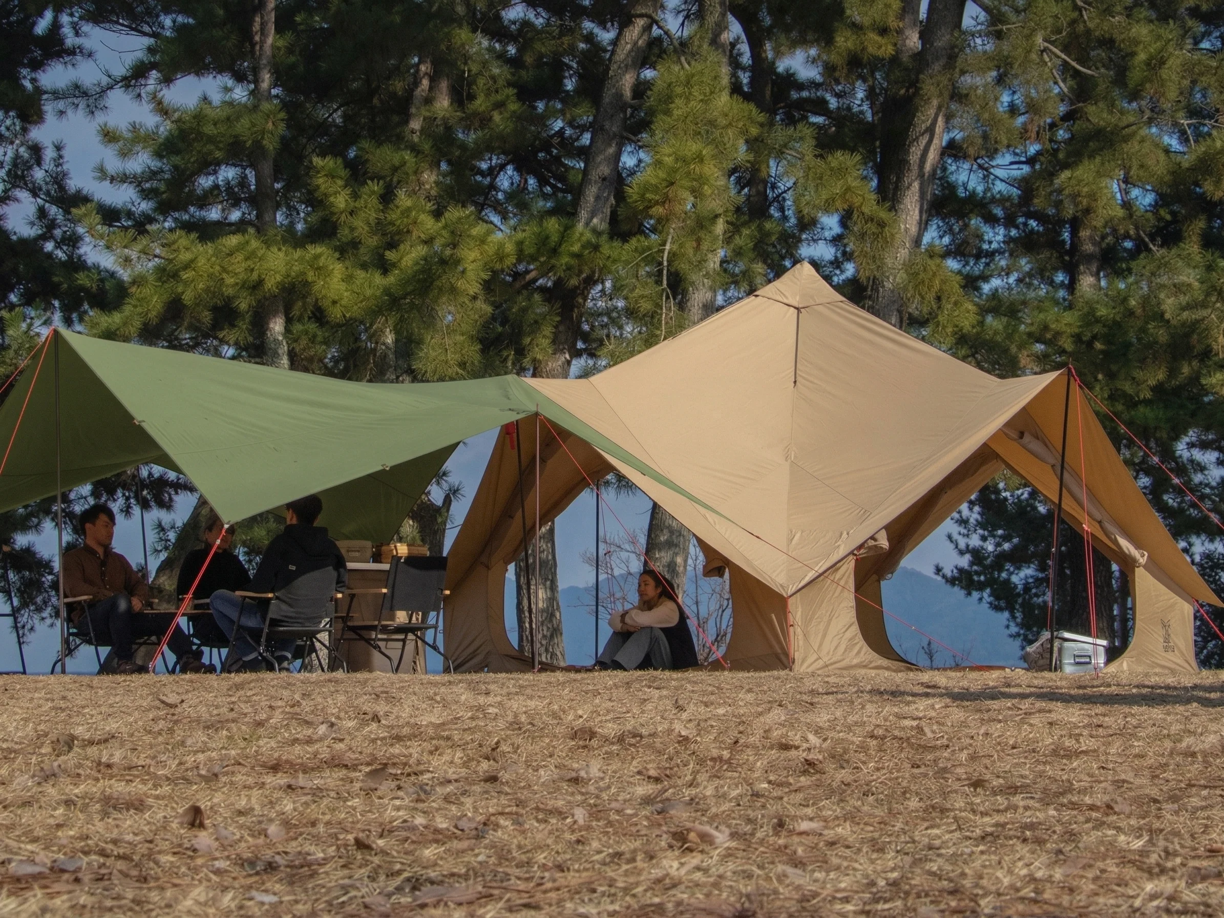 Tents and Tarps (ON SALE)